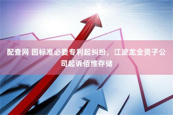 配查网 因标准必要专利起纠纷，江波龙全资子公司起诉佰维存储