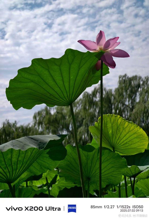 添利富 泉城百花洲古城景区，我在记录