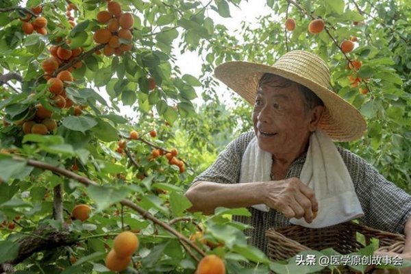 鼎茂策略 1420名百岁老人大调查：长寿仅有一个共性，不是运动，不是饮食！