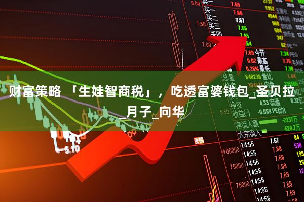 财富策略 「生娃智商税」，吃透富婆钱包_圣贝拉_月子_向华