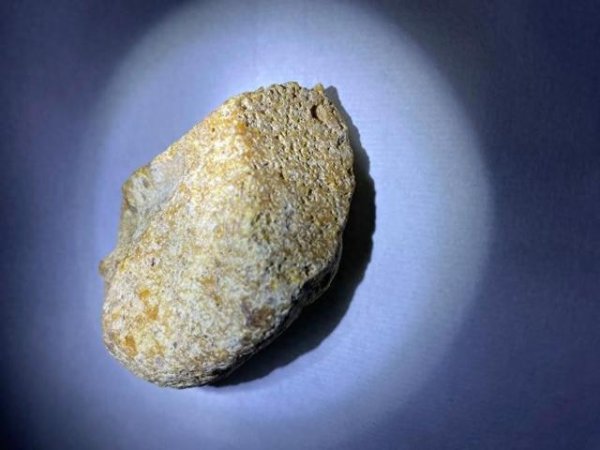 祥盛期权 鲸排泄物龙涎香，为何拉出来的香而且比黄金贵，人工取出来的臭？